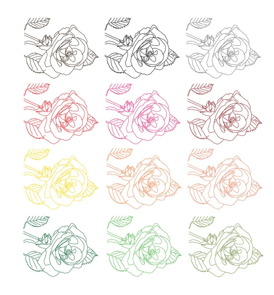 Conjunto de rosas — Archivo Imágenes Vectoriales