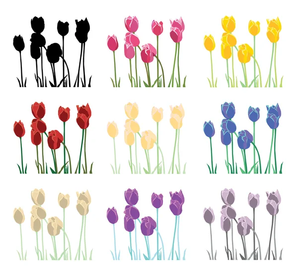 Set de tulipanes — Vector de stock