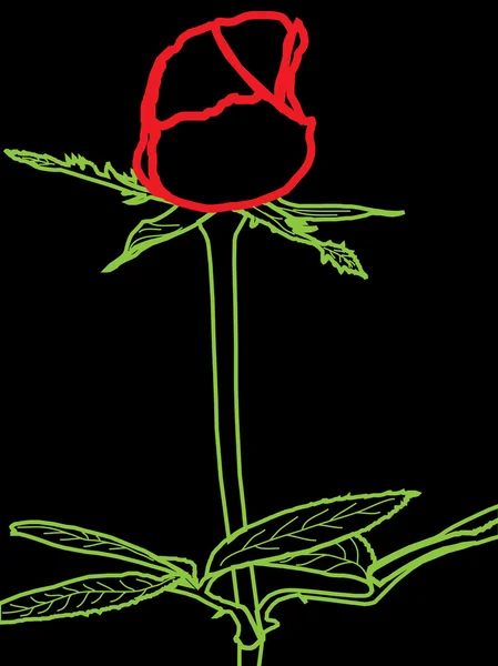 玫瑰轮廓 — 图库矢量图片