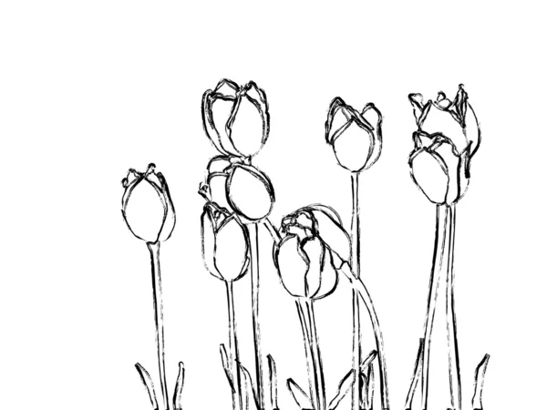 Abstraktní tulipány — Stockový vektor