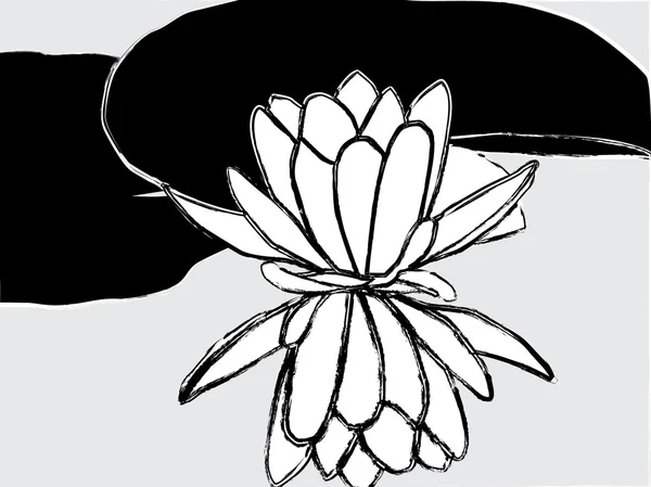 Soyut nilüfer çiçeği — Stok Vektör