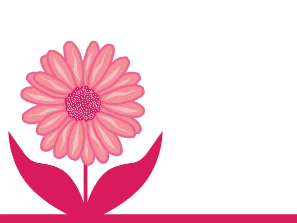 Pink aster flower — Stock Vector