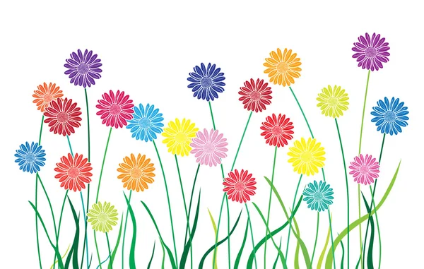 Aster jardin multicolore — Image vectorielle