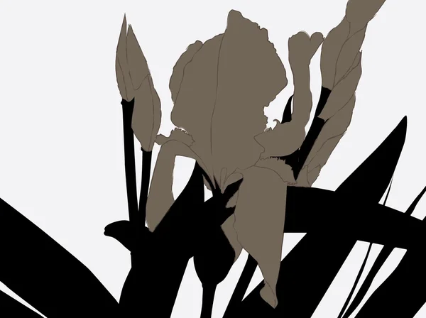 抽象的なアイリスの花 — ストックベクタ