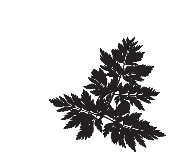 Blommig gren siluett — Stock vektor
