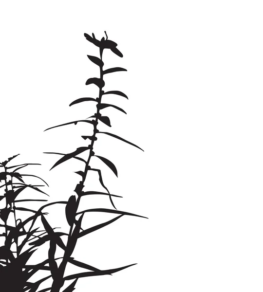 Floral branch silhouet — Stockvector