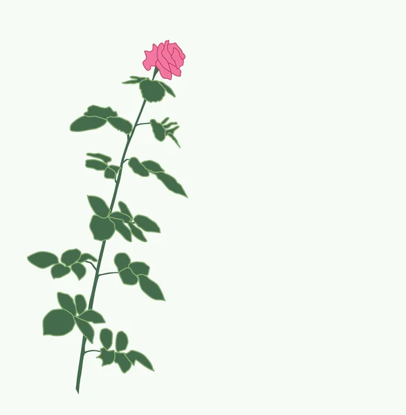 Pozvánka - květiny — Stockový vektor