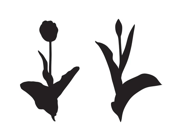 Blommig silhuetter — Stock vektor