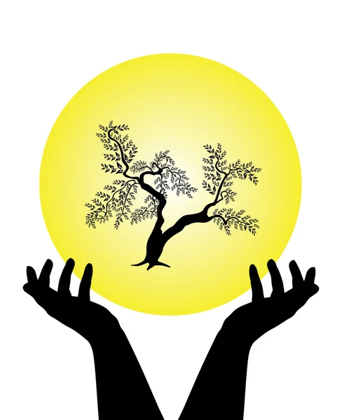 Les mains humaines s'occupent de l'arbre — Image vectorielle