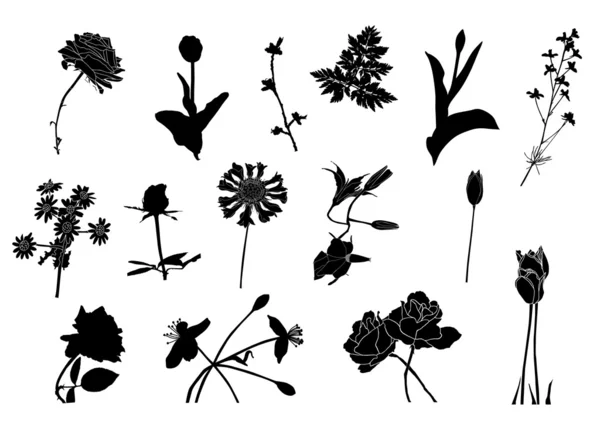 Στοιχεία floral σχέδιο — Διανυσματικό Αρχείο