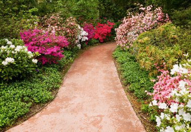 Walkway through flower garden clipart