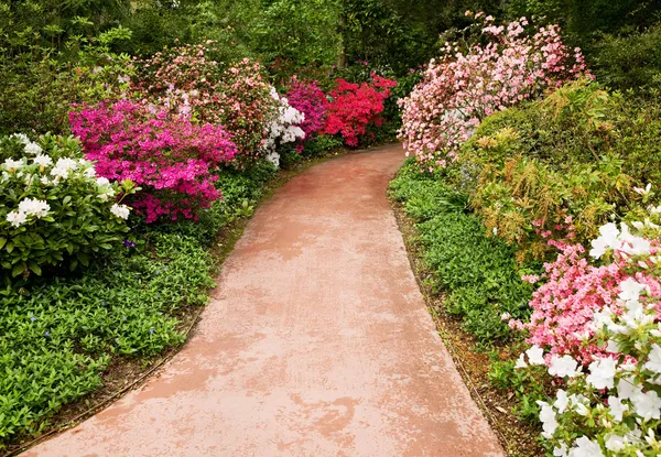 Chodnik przez kwiat ogród — Zdjęcie stockowe