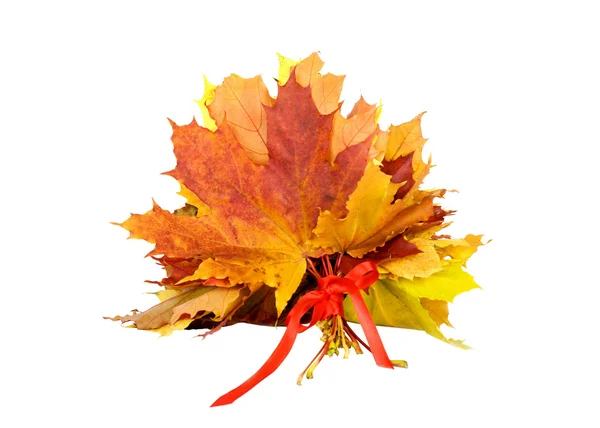 Bukiet jesienny liść z czerwoną wstążką — Zdjęcie stockowe