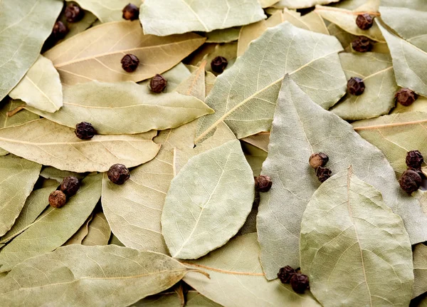 베이 잎, 검은 후추의 배경 — 스톡 사진
