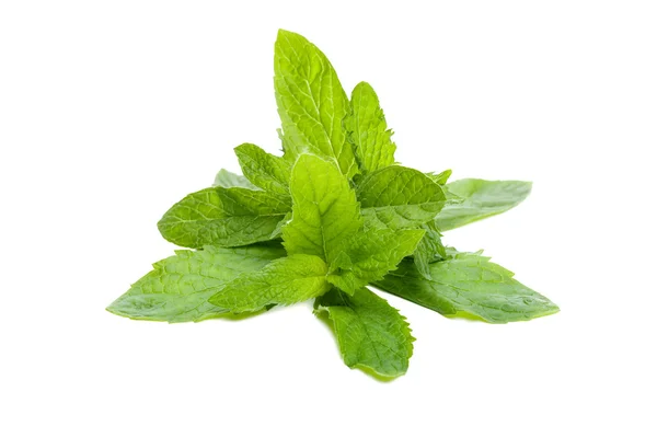 Mint leaves isolated on white — Stock Photo, Image