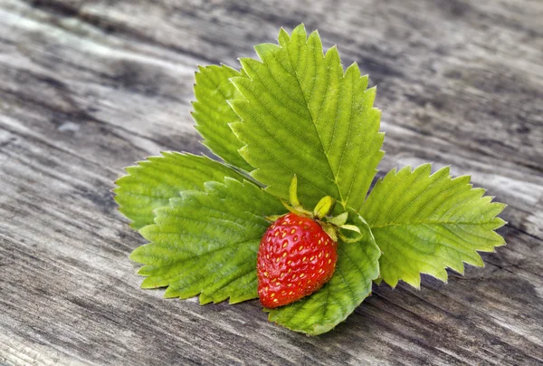 Stock image Fresh strawbery on wooden background