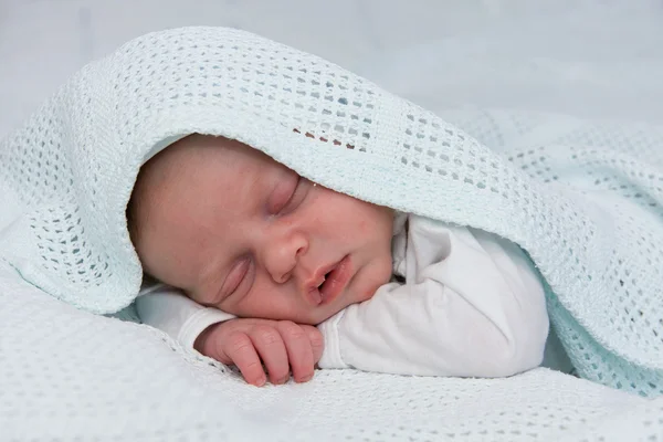 Newborn boy sleeping — Stock Photo, Image