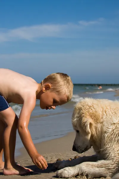 Kumsalda köpekle oynayan çocuk — Stok fotoğraf