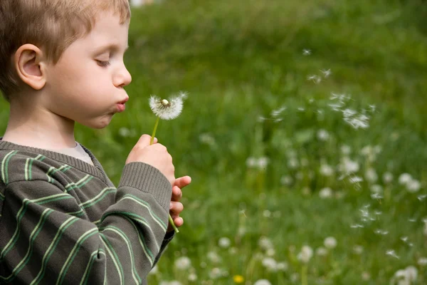 Boy blowing dandelion in summer day — Stock Photo, Image