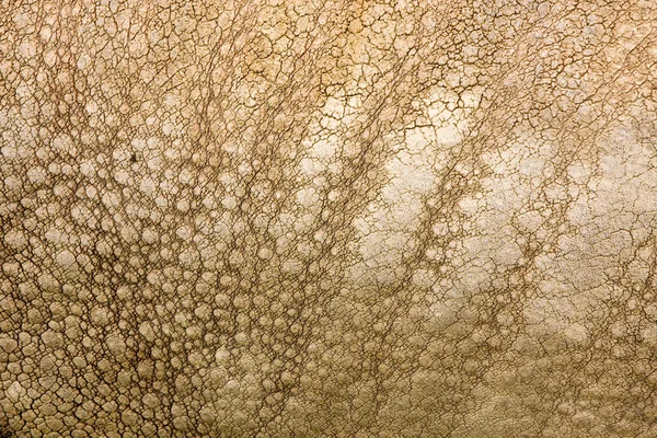 stock image Rhino leather texture