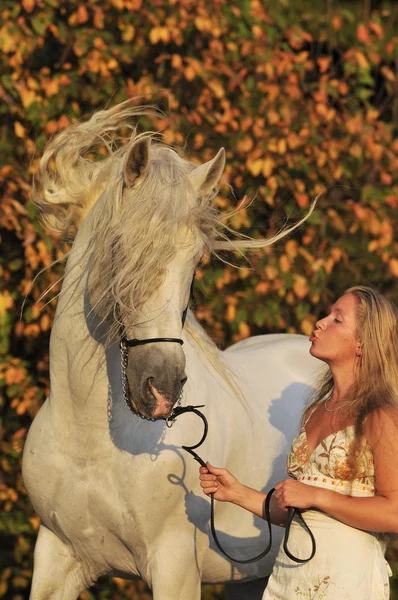 White horse, girl and wind — Stock Photo, Image
