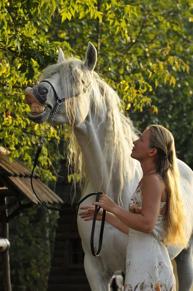 White horse and girl — Stock Photo, Image