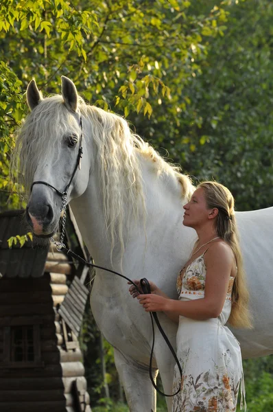 White horse and girl — Stock Photo, Image
