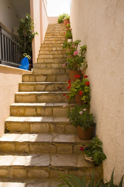 Flower stairs — Stock Photo, Image