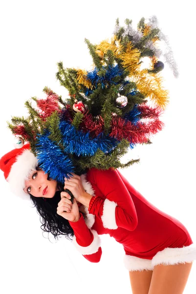 Schöne Frau trägt einen Weihnachtsbaum — Stockfoto