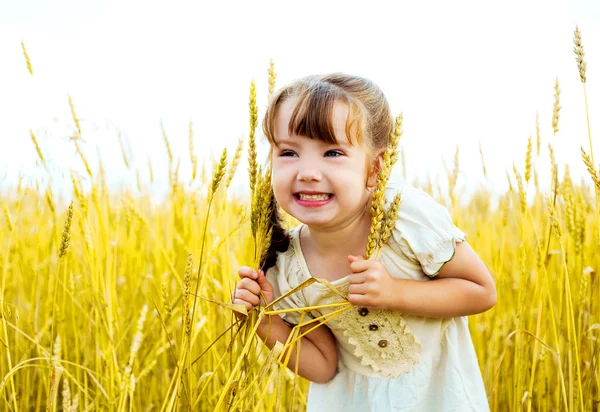 Дівчина в пшеничному полі — стокове фото