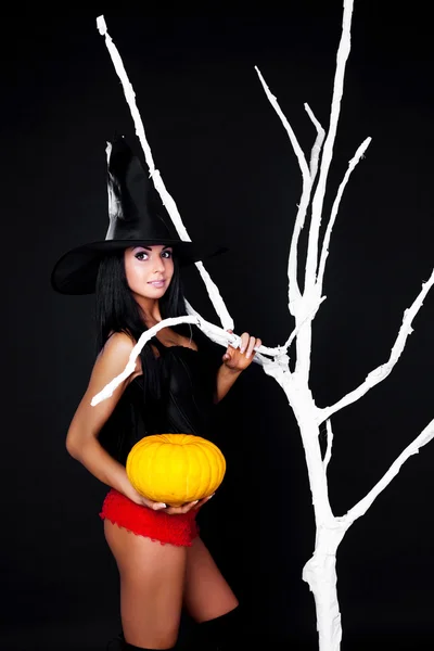 Witch with a pumpkin — Stock Photo, Image