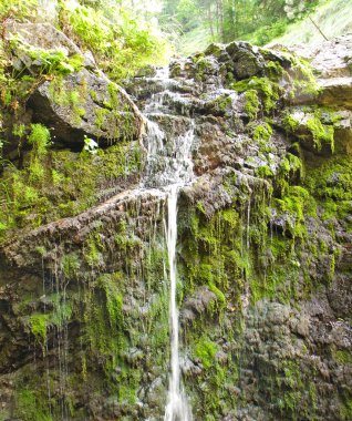 Dağ Baharı