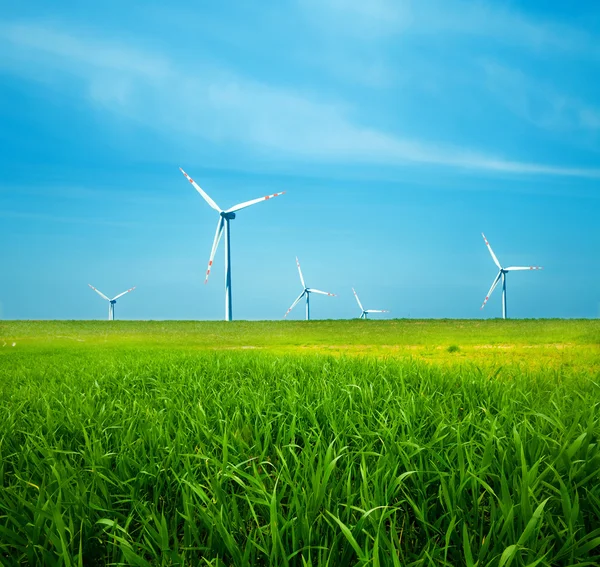 Turbinas eólicas en campo verde —  Fotos de Stock
