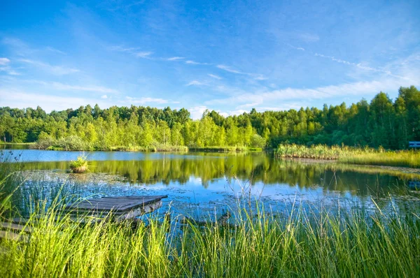 숲에서 고요한 호수 — 스톡 사진