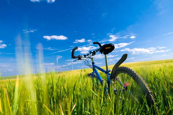Bike on the field — Stock Photo, Image