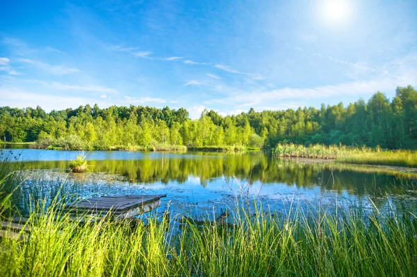 Спокойное озеро в лесу — стоковое фото