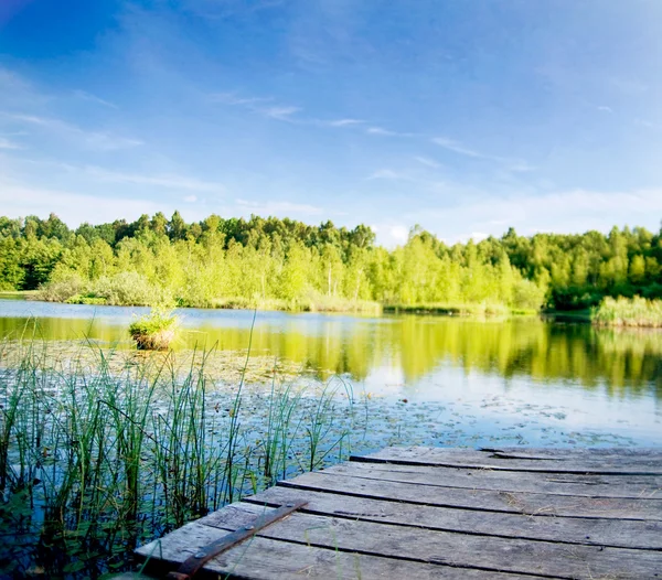 Klidné jezero v lese — Stock fotografie