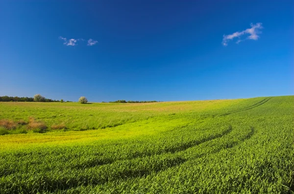Agriculture — Stock Photo, Image