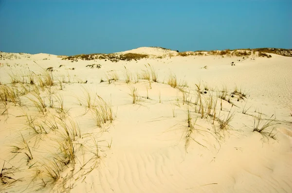 ทะเลทราย — ภาพถ่ายสต็อก