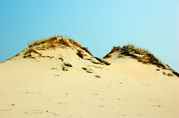 stock image Desert