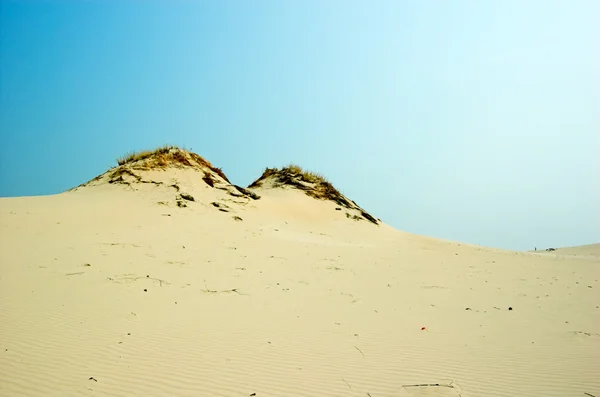 stock image Desert