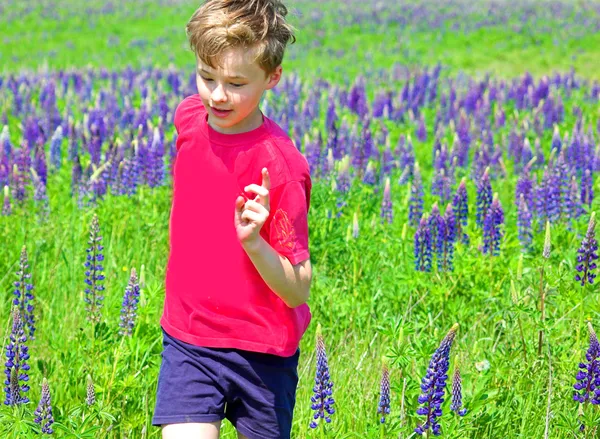Running through the meadow! — Stock Photo, Image