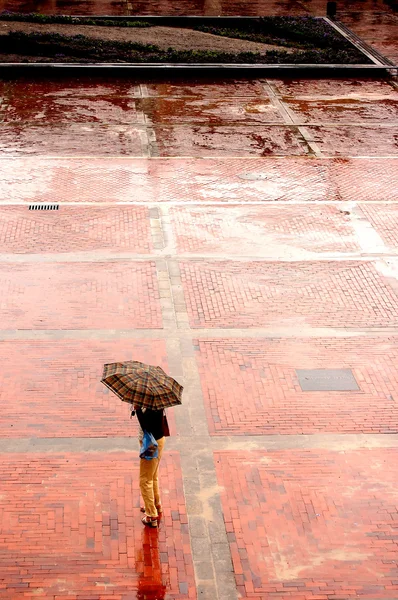 Один под дождем — стоковое фото