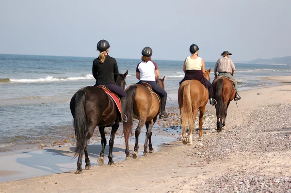 Пляжный конный спорт — стоковое фото