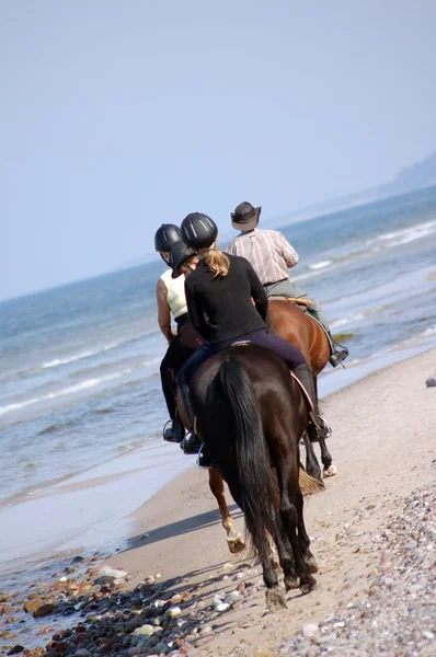 Praia cavalo-equitação — Fotografia de Stock