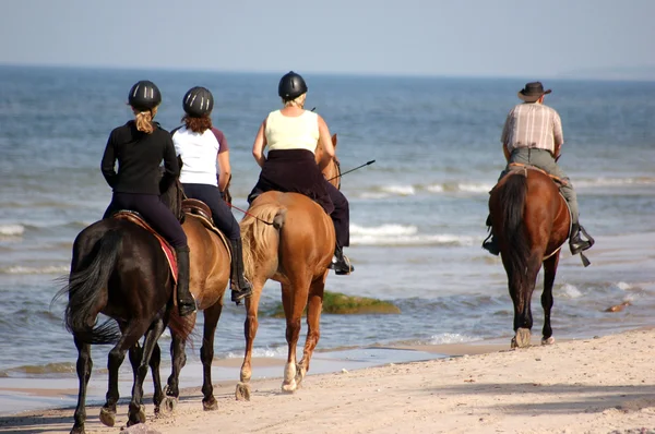 Пляжный конный спорт — стоковое фото