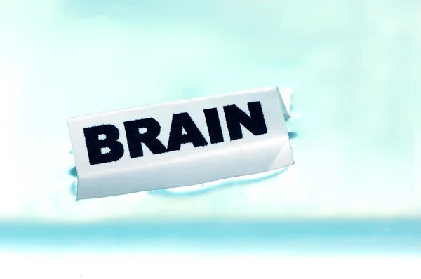 Concept du cerveau — Photo