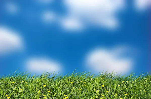 Fundo de natureza fresca com céu azul — Fotografia de Stock