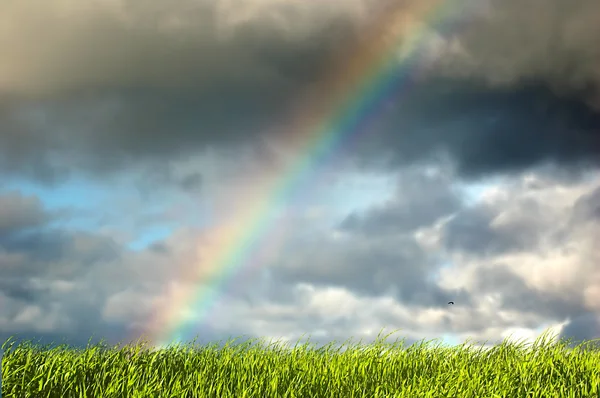 Fresh grass and sky with rainbow — Stock Photo, Image