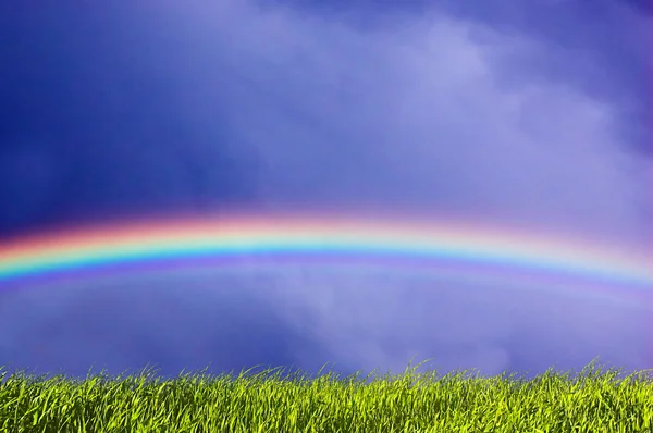 stock image Fresh grass and sky with rainbow